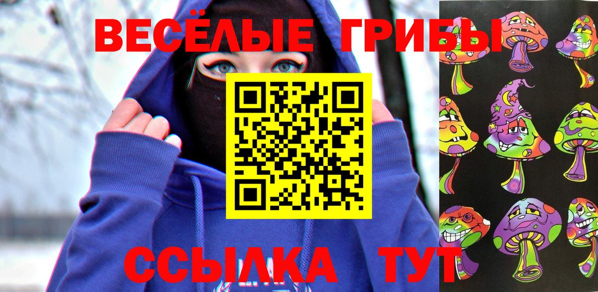 Псилоцибиновые грибы Psilocybe  Вход с VPN  Назрань 